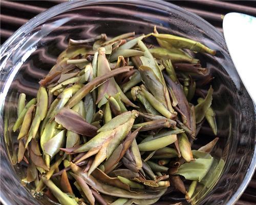 普洱茶能放冰箱吗？储存方法和注意事项是什么？