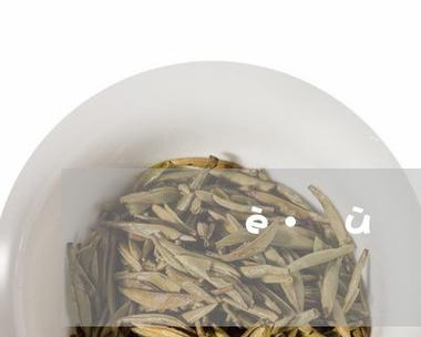 普洱茶能放冰箱吗？储存方法和注意事项是什么？