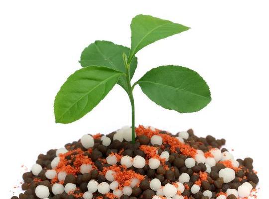 普钙肥料如何影响植物生长？使用普钙肥料常见问题有哪些？