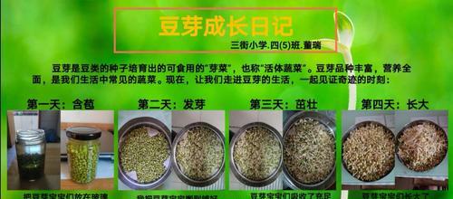 七彩椒种子发芽需要多长时间？发芽失败怎么办？