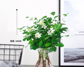 七里香水培与土培哪种更适合？优缺点对比分析？