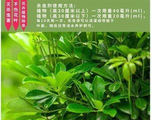 七叶莲烂叶子怎么办？找出原因并解决！