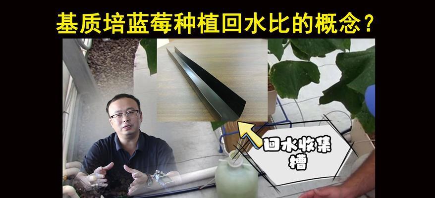 蓝莓盆栽栽培基质多久更换一次效果最佳？