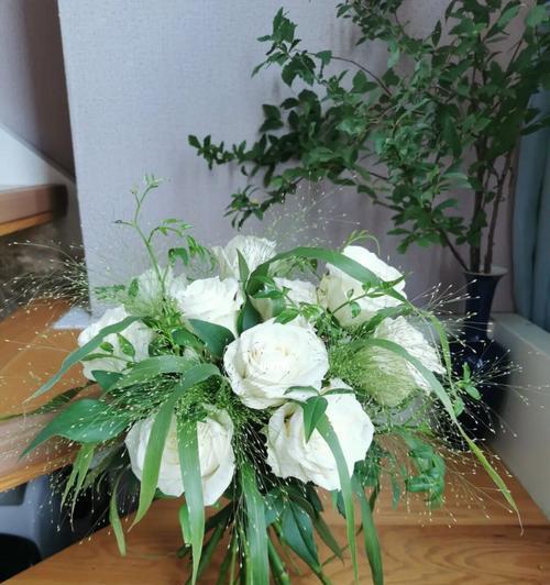 白玫瑰盆栽最适合种植的季节是什么时候？