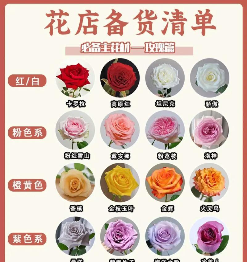 属大龙的应该养哪种仙人掌品种？