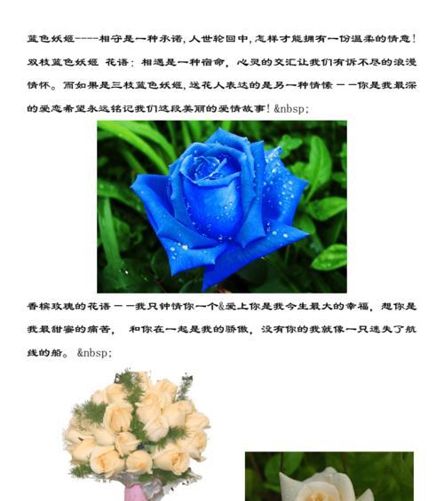 属大龙的应该养哪种仙人掌品种？