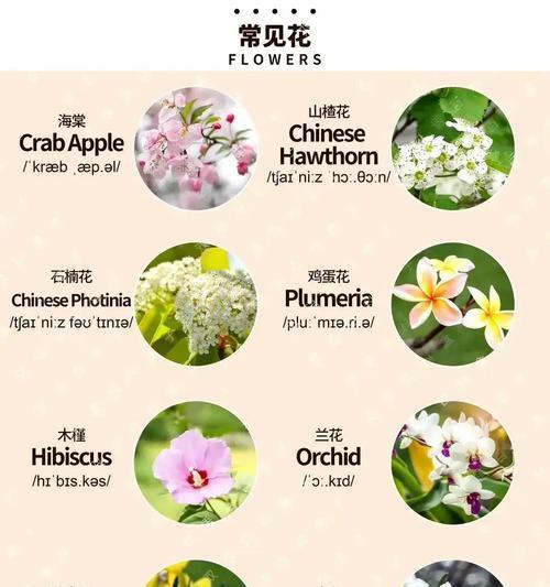 广西灵山苗木场的自动浇水系统如何操作？