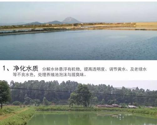 如何正确使用降ph值盐酸进行水产养殖？