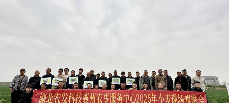 湖北省小麦种植技术与管理要点是什么？