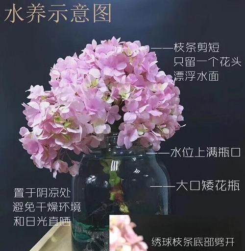 插花快速生根的秘诀是什么？
