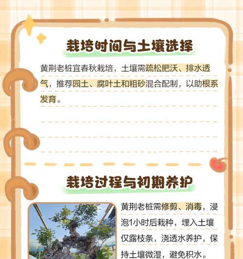 盆栽树桩浇水频率多少天一次最佳？