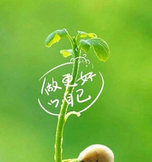 绿色植物护眼法是什么？