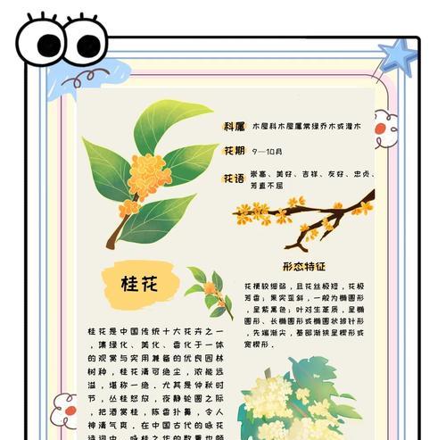 海南月桂种植技术与管理有哪些要点？