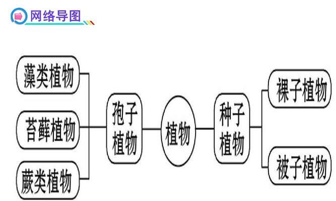 绿色植物护眼知识资料有哪些形式？