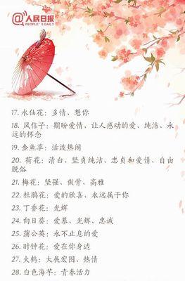 仿真月桂盆栽哪家更香？如何挑选