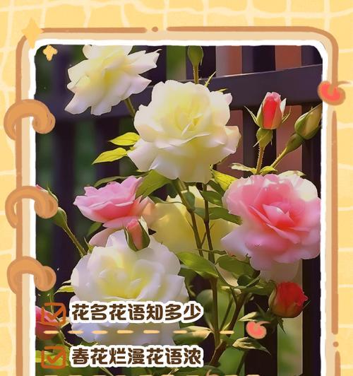 发芽芋头怎么盆栽效果最佳？需要注意什么