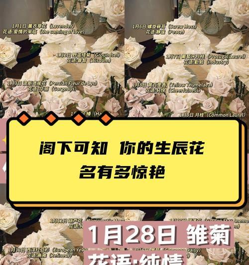 发芽芋头怎么盆栽效果最佳？需要注意什么