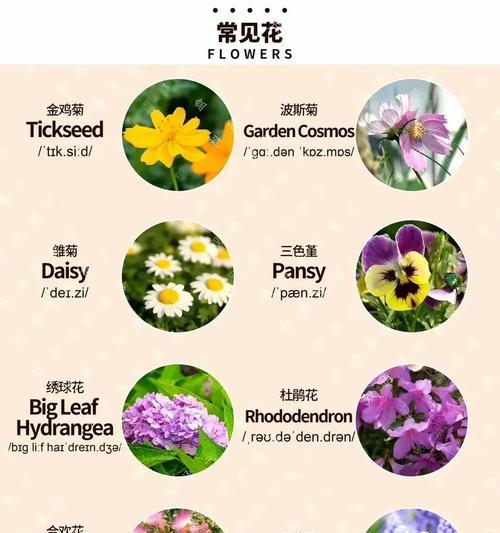花泥插花怎样才不烧根？有哪些技巧