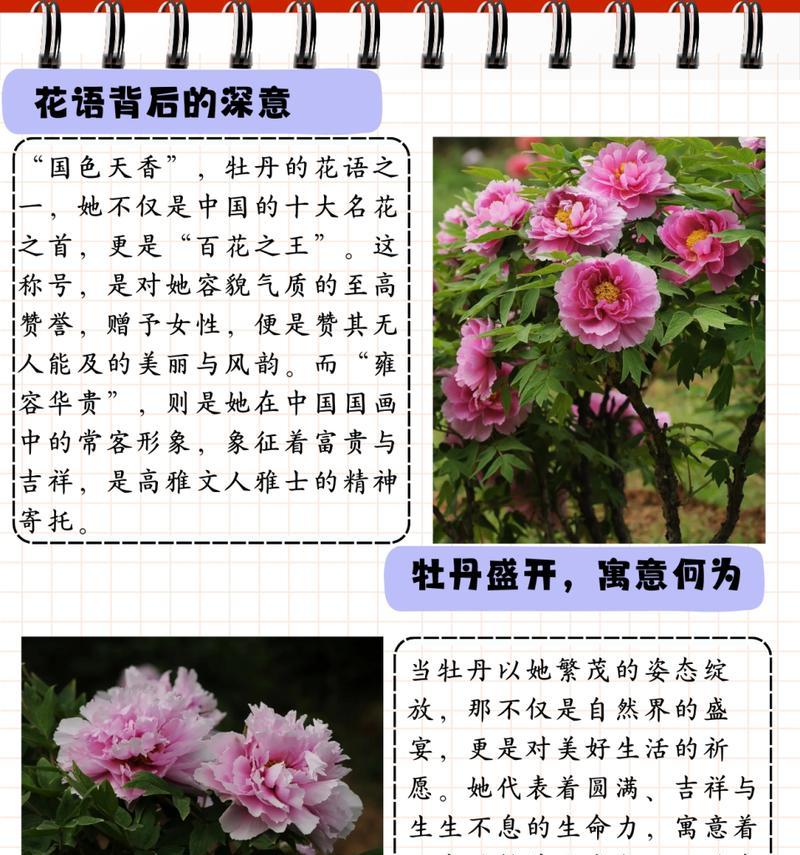 花泥插花怎样才不烧根？有哪些技巧