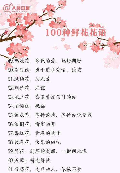 月桂树楼房能盆栽吗？有哪些注意事项