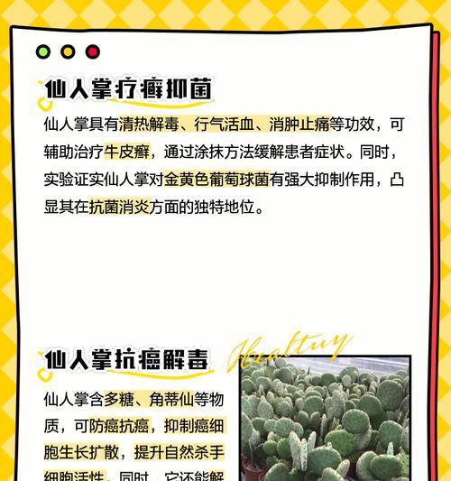 新入手的仙人掌应如何进行养护？