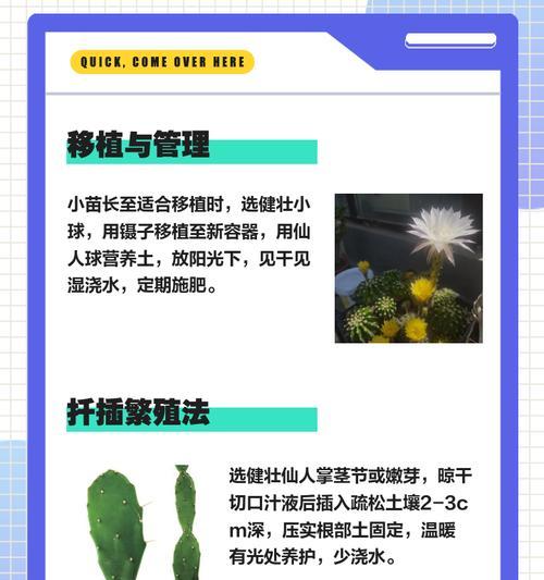 淘花缘仙人球的养殖难度和方法是什么？