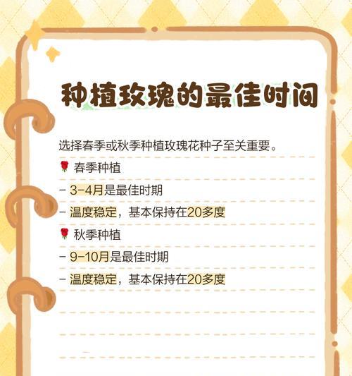 玫瑰花顶籽后应如何进行管理？
