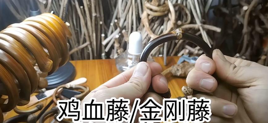 金刚8号仙人球的养殖方法和注意事项是什么？