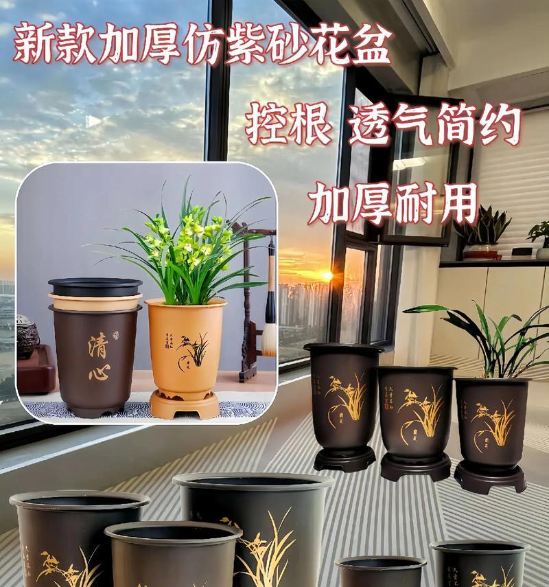 使用塑料盆育苗君子兰的优缺点及养护方法是什么？