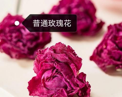 玫瑰花与军人花在哪些方面有区别？
