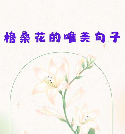 哪些花的花语是唯美的？它们各自代表什么？