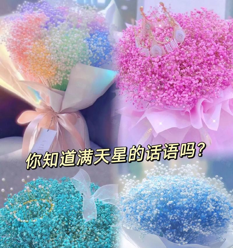 粉满天星的花语是什么意思？
