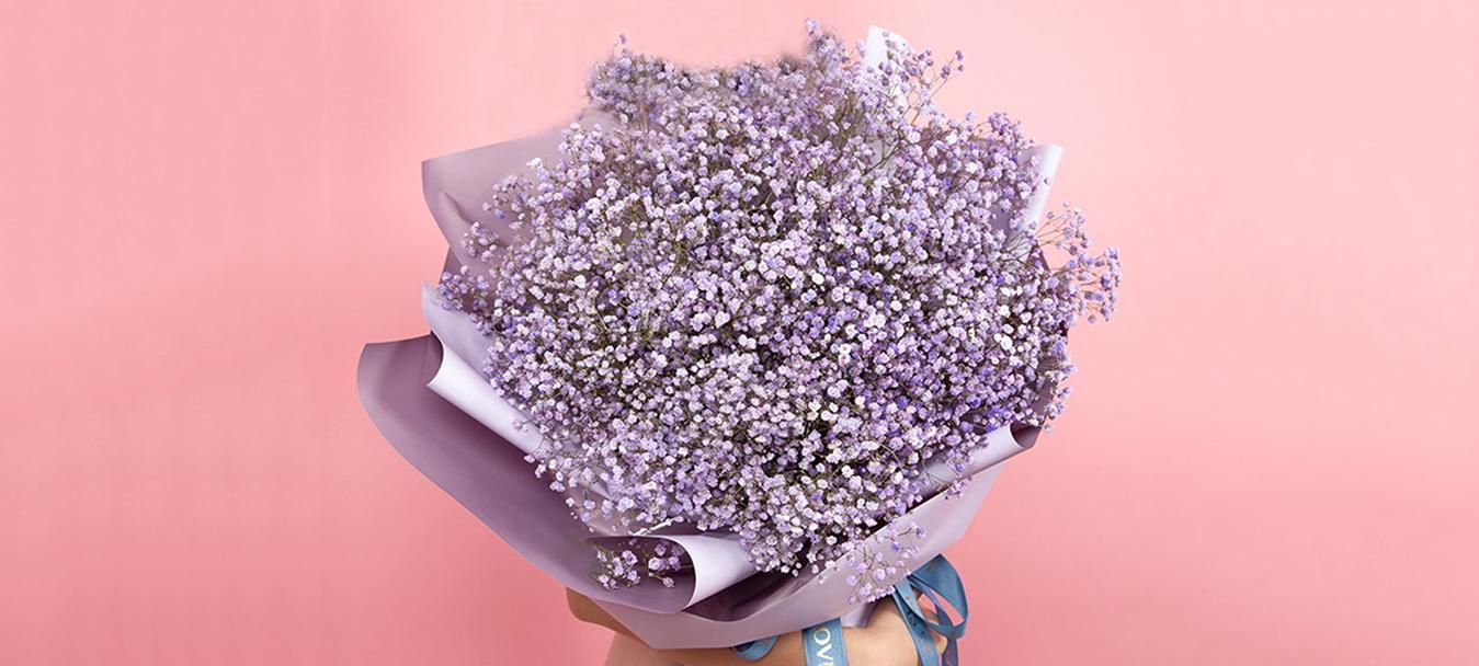 粉色满天星的花语是什么？