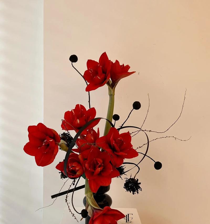 月中美人指的是哪种花？这种花的花语是什么？