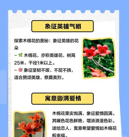 木棉花的颜色有哪些？不同颜色木棉花的花语是什么？