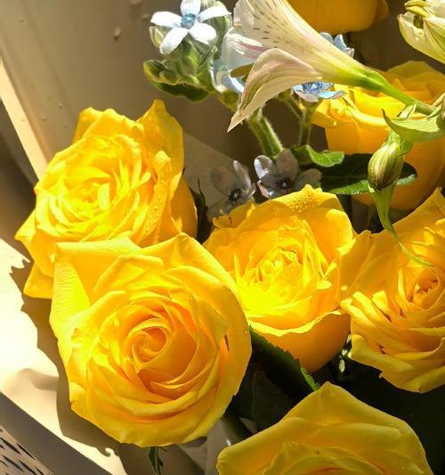 百合与黄玫瑰组合的花语有何深意？