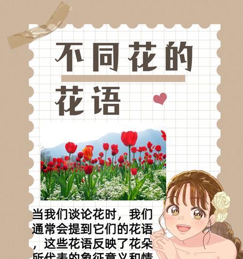 粉色百合传递了哪些情感？