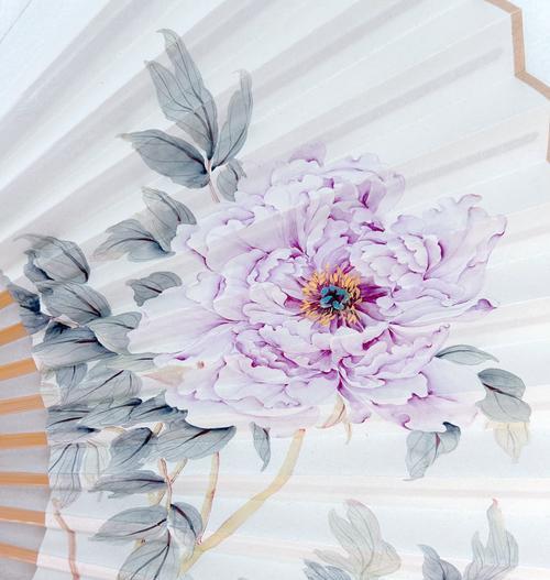 黄牡丹的花语和含义是什么？它在花语中代表什么？