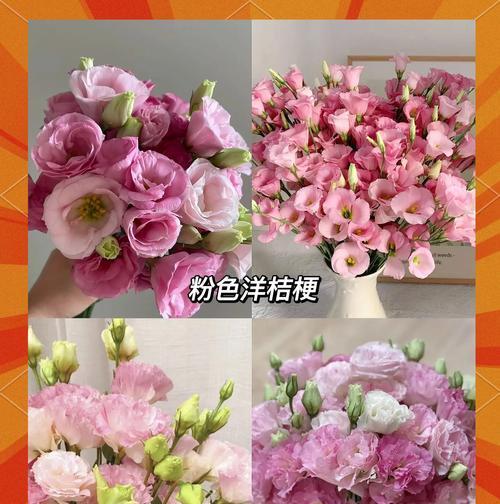洋吉梗花粉色花语有何寓意？