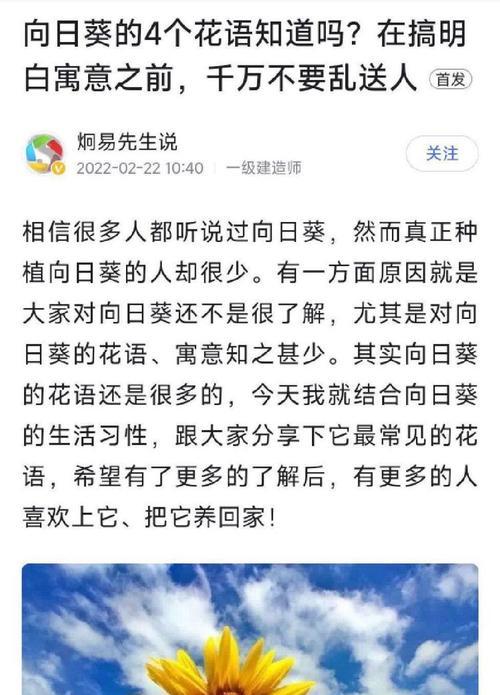 向日葵的花语有何特别意义？