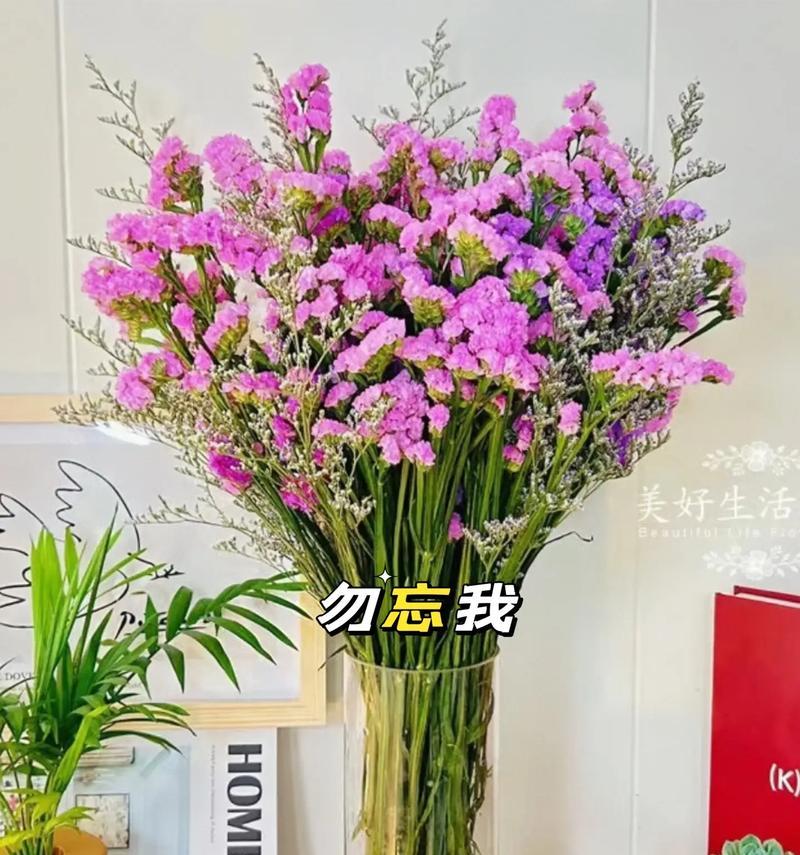 勿忘我花语代表什么？