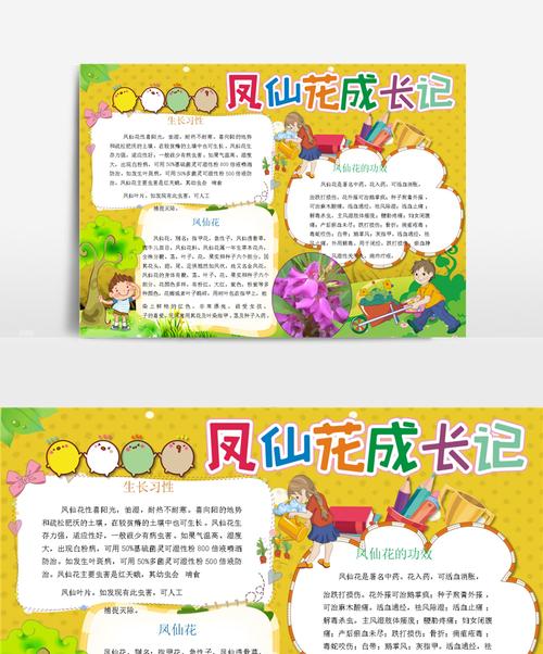 凤仙花的花语及其背后的故事是什么？