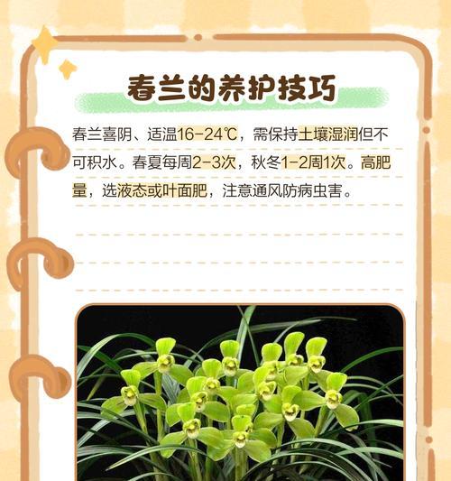 会的花语是什么意思？会的花语在园艺中代表什么？