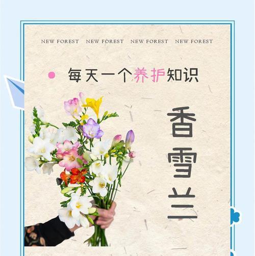 香雪兰的花语和传说是什么？香雪兰的种植要点有哪些？