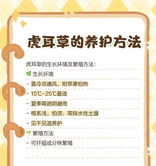 虎耳草的花语及传说是什么？虎耳草的养殖方法有哪些？