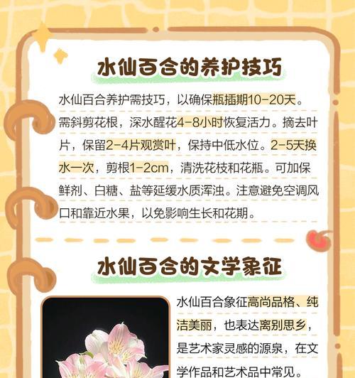 漂亮的水仙花的花语是什么？水仙花的养殖和护理方法是什么？
