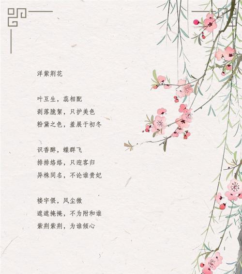 紫荆花的花语是什么？详细介绍紫荆花。