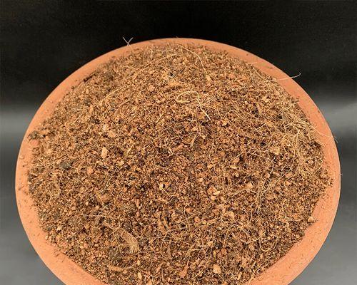 三角梅种植应使用哪种土壤？对土壤有何特殊要求？