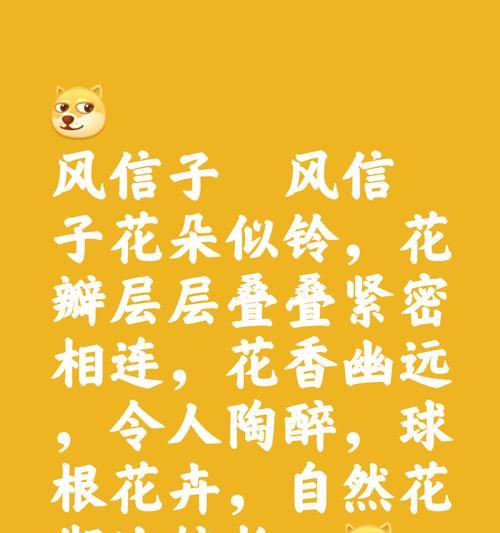 风信子的花语是什么？它代表了哪些情感？