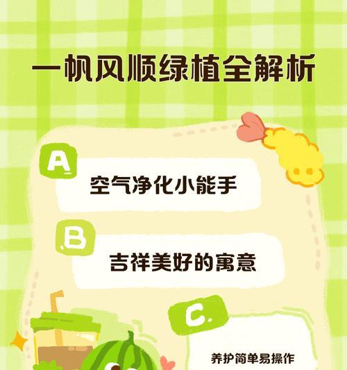 一帆风顺的养护与管理技巧？